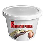 Predator Foods Bulk Live Mealworms - 250 Count (Medium ~.5")
