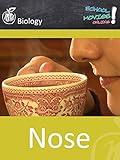 Nose - School Movie on Biology