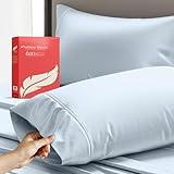 Ashton Sheets 100% Egyptian Cotton Standard Queen Pillowcases Set of 2, 600 Thread Count Egyptian Cotton Sateen Weave Pillow Cases, Silky Soft Hotel Quality Bed Pillow Covers for Sleeping (Light Blue)