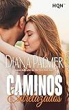 Caminos entrelazados (HQN nº 317) (Spanish Edition)