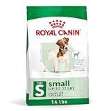 Royal Canin Size Health Nutrition Small Adult Dry Dog Food, 14 lb bag