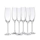 Lenox Tuscany Classics Set, Champagne Flutes, Buy 4, Get 6, 6 Count (Pack of 1), Clear,8 ounces.