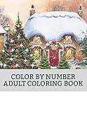 Color By Number Adult Coloring Book: Fun & Fun Festive Winter Fun Holiday Christmas Winter Season Coloring Book (Color By Number Coloring Book for Adults)