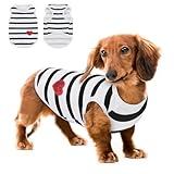 Queenmore Large Dog Shirt,Soft Breathable Dog Shirt for Dogs Cats Boy Girl,Pet Clothes for All Season,Breathable Lightweight Pet Tshirt for Frenchie, Dachshund, Yorkie