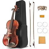 Ceciliec 4/4 Violin for Beginners, Acoustic Full Size Violin Fiddle Starter Kit for Student, Stringed Musical Instrument w/Case, 2 Violin Bows, 2 Bridges, Strings, Rosin, Cleaning Cloth
