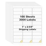 Risepekt 100 Sheets 3000 Pcs 30 Up 1" x2-5/8 Shipping Address Barcode Labels for Laser & Inkjet Printers, 1x2.625 on US Letter, 30 per Sheet Return Address Labels, 30 per Page