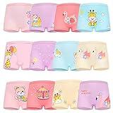 JackLoveBriefs Girls Underwear with 12 Packs Toddler Panties for Girls Multicolor(3-5T)