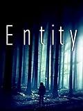 Entity