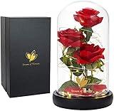Birthday Gifts for Women,Beauty and The Beast Rose,Forever Real Preserved Red Rose in Glass Dome,Flowers Gifts for Women,Mom,Wife,Girlfriend, Anniversary,Birthday,Valentines Day Gift Idea