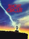 Short Circuit