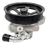 NEWZQ Power Steering Pump Replacement for Enclave Traverse Acadia Outlook All Models Equinox Torrent Vue 3.6L Engine 2007-2013