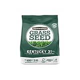 Pennington Kentucky 31 Tall Fescue Penkoted Grass Seed 3 lb