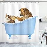 Ambesonne Cat Shower Curtain, Dog Kitty in The Bathtub Together Bubbles Shampooing Having Shower Fun Print, Cloth Fabric Bathroom Decor Set with Hooks, 69" W x 75" L, Sky Blue Camel White