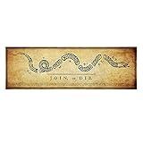 History America Join Or Die Unframed Art Print | Benjamin Franklin Political Cartoon American Revolution Poster | 11 3/4 x 36 inches | Tea Stained