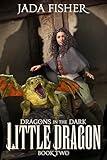 Little Dragon (Dragons in the Dark Book 2)