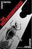 The Metamorphosis: The Illustrated Edition