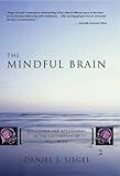The Mindful Brain: Reflection and Attunement in the Cultivation of Well-Being (Norton Series on Interpersonal Neurobiology)
