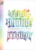 There Goes the Gayborhood? (Princeton Studies in Cultural Sociology Book 68)