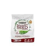 Pennington Smart Seed Perennial Ryegrass 3 lb