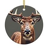 Beauty Deer Christmas Ceramic Round Ornament:A Must-Have Christmas Ceramic Decor for The Festive Season