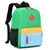 PIG PIG GIRL Kids Backpack, 16'' Lightweight School Backpack for Boys Girls,Casual Bookbag for Primary Elementary Middle School,Age 5-14,Green and Blue,Large Size
