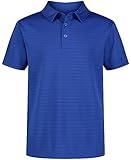 Nautica Boys' Big Active Short Sleeve Polo Shirt, Button Closure & Embossed Stripes, Breathable Performance Fabric, Royal, 14-16