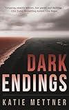 Dark Endings: A Psychic Detective Romantic Suspense