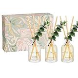 Cocorrina Eucalyptus Reed Diffuser Set of 3 - Lavender Eucalyptus, Black Forest, Clean Cotton Scents, 1.7 fl oz Each, Total 5.1 oz, Scented Oil Diffusers for Home & Office﻿