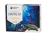 STUDIOSTONE CREATIVE DIY Arts & Crafts Carving Kit Kids Adults Turtle Sculpture Soapstone