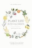 Plant Life in Field and Garden: Nature Study For Kids - Australian Edition