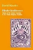Hindu Goddesses: Visions of the Divine Feminine in the Hindu Religious Tradition (Hermeneutics: Studies in the History of Religions Book 12)