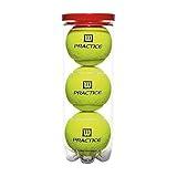 Wilson Practice Ball