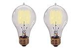 Bulbrite 132520 25W Nostalgic Edison Quad Loop-style Bulb (2)