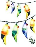 Xingzd 8.5FT Outdoor String Lights, 10 LED Warm White Waterproof Fairy Lights with 2 Spare Bulbs, Shatterproof & UL Certified Lighting for Summer Camping Patio Pool Yard Decor (Colorful Parrot)
