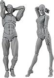 AXITWXIT Body Kun Artist Manikin Figure Drawing Supplies Drawing Tools, Mannequin for Artists Drawing Figures Model for Sketching, Painting, Artists Male (Grey)