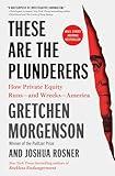 These Are the Plunderers: How Private Equity Runs―and Wrecks―America