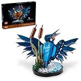 LEGO Icons Kingfisher Building Set - Detailed Model Set for Adults, 18+ - Collectible, Relaxing Activity for Bird Lovers - Gift for Men & Women - 10331