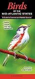 Birds of the Mid-Atlantic States