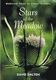 Stars of the Meadow: Medicinal Herbs as Flower Essences