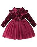 Rosibel Baby Girl Christmas Dress Baby Infant Girls Special Occasion Clothes Fall Winter Dresses Outfits Red 2-3Y