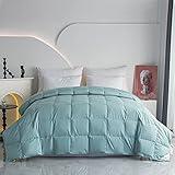 Eastwarmth Lightweight Goose Down Comforter Blanket Duvet for Summer/Warm Weather,100% Cotton Cover, Lake Blue Queen Size