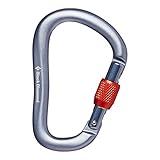 BLACK DIAMOND Rocklock Screwgate Locking Carabiner for Rock Climbing, Mountaineering, Rappelling, Work, Gray