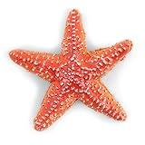 Papo - hand-painted - figurine - Marine Life - Starfish-56050 - Collectible - For Children - Suitable for Boys and Girls - From 3 years old