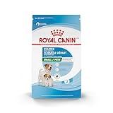 Royal Canin Size Health Nutrition Small Starter Mother & Babydog Dry Dog Food, 14 lb bag