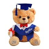 Personalized Graduation Bear Gift 2025 for Her Him College High School, 10 Inch - Cute Custom Gown Add Your Name and Year (Styles 1)