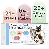 Basepaws Cat DNA Test Kit - Comprehensive Breed, Health and Dental Analysis Across 114 Traits for Accurate and Easy-to-Use Genetic Insights