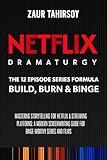 NETFLIX DRAMATURGY: The 12 Episode Series Formula BUILD, BURN & BINGE