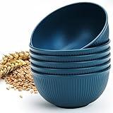 LIANGKEN Unbreakable Cereal Bowls 24 oz, Plastic Reusable Light Weight Bowl, Set of 6,Lightweight Bowls Made of Wheat Straw Fiber Ideal for Salad, Soup, Ramen, Noodles, Oatmeal, Rice,Snack
