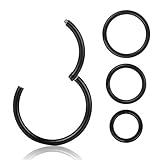 16G Black Surgical Stainless Steel Cartilage Earrings,Segment Hinged Seamless Eyebrow Eye Nose Septum Lip Hoop, 6mm 8mm 10mm 12mm 4 Pcs Clicker Ear Belly Button Hoop Piercing Ring Set Unisex