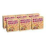 Nature's Bakery Oatmeal Crumble Bars, Raspberry Lemon, Real Fruit, Vegan, Non-GMO, Breakfast Bar, 6 Boxes With 6 Bars, 36 Count